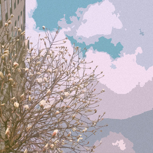 一区二区三区美女白丝被c
